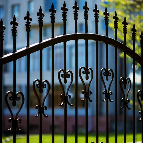 Portafolio destacado