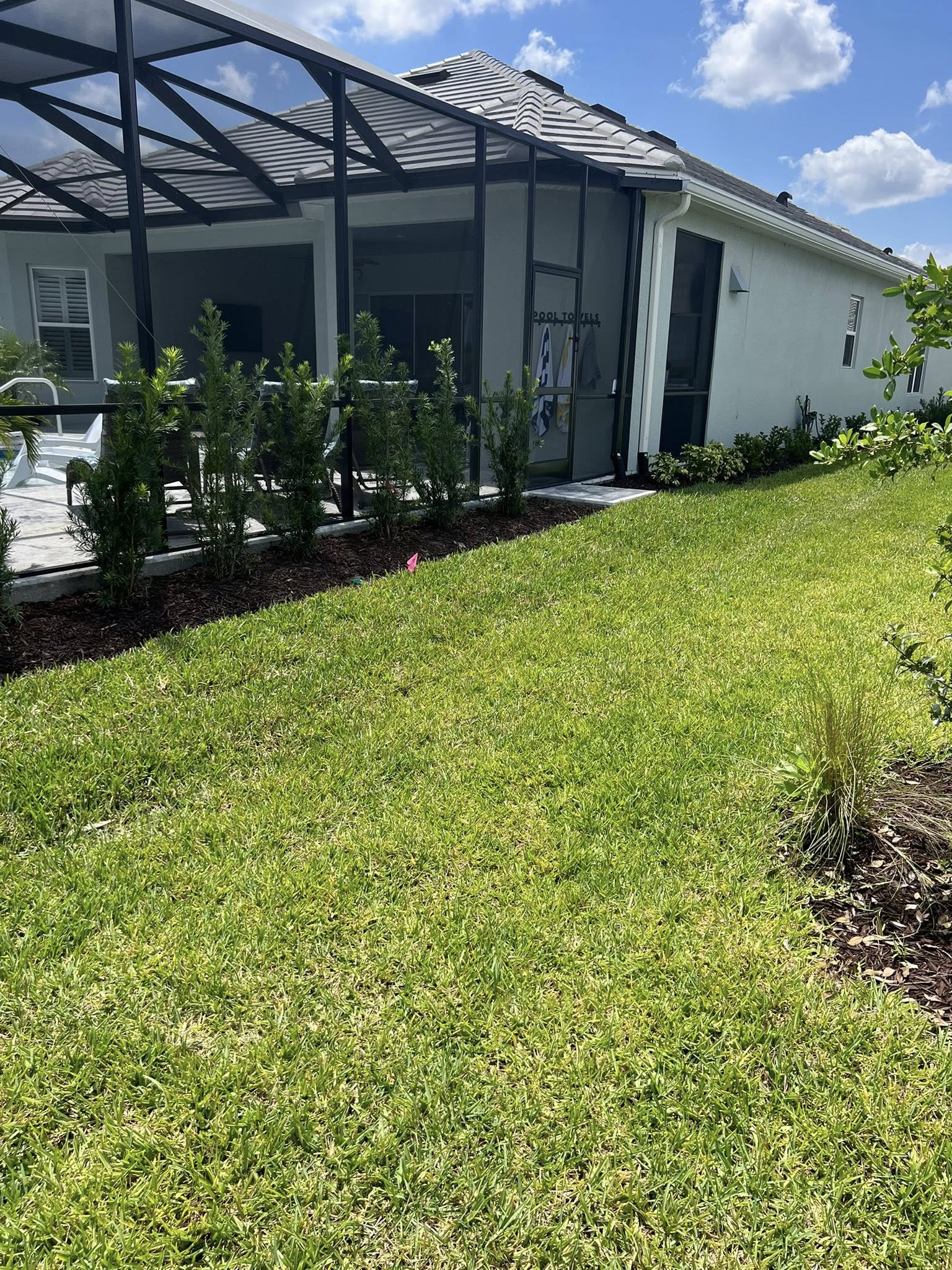 Portafolio destacado