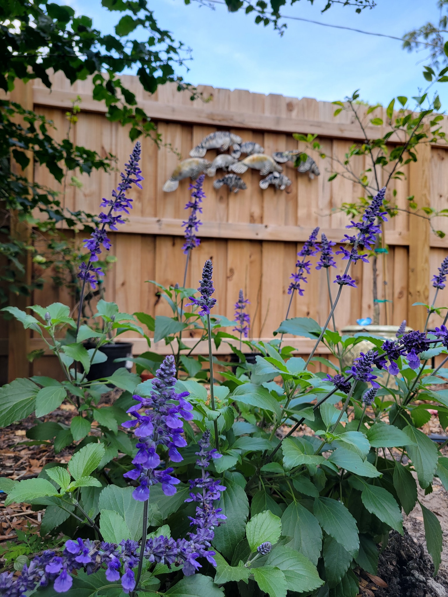 Portafolio destacado