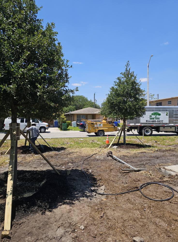 Portafolio destacado