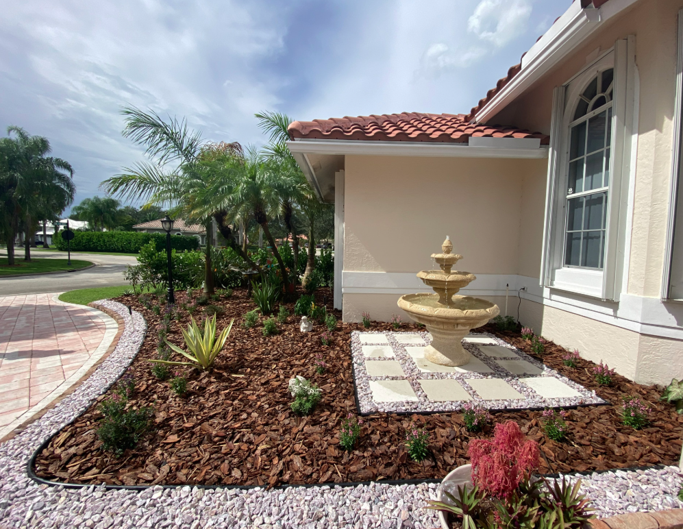 Portafolio destacado