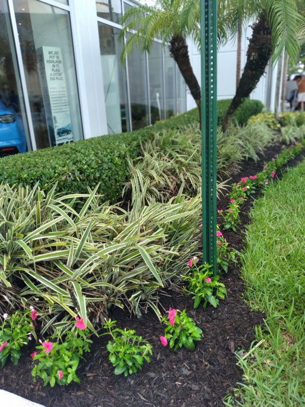 Portafolio destacado